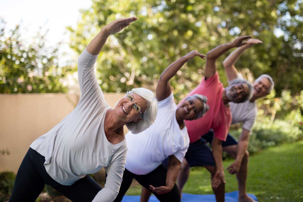 senior and therapeutic programs